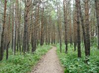 Ермак, гостиный дом